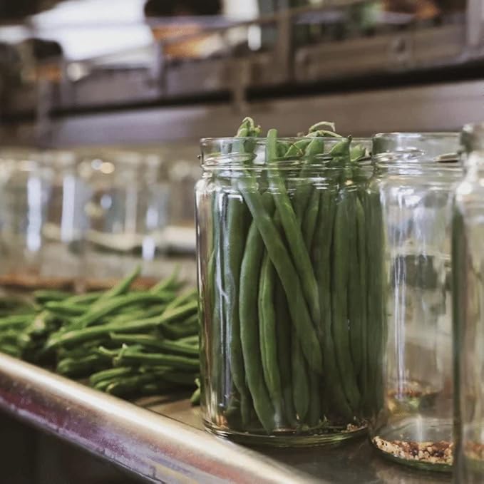 Foster's Pickled Green Beans in a Jar, Original, 16oz, 2 Pack, Traditional Pickled Vegetables