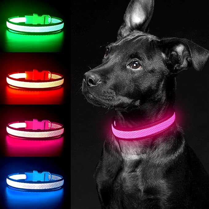 YFbrite Light up Dog Collar, USB Rechargeable LED Puppy Collar Super Bright Adjustable Glowing Dog