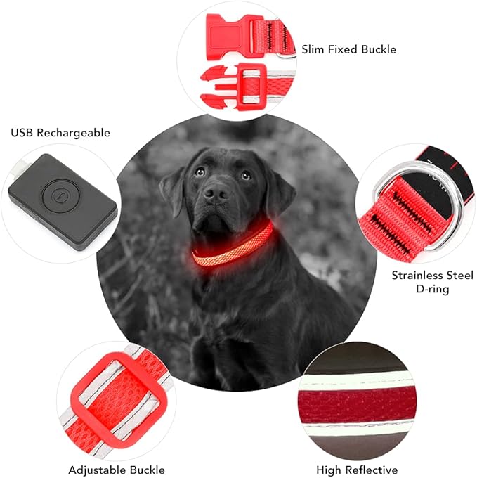 YFbrite Light up Dog Collar, USB Rechargeable LED Puppy Collar Super Bright Adjustable Glowing Dog