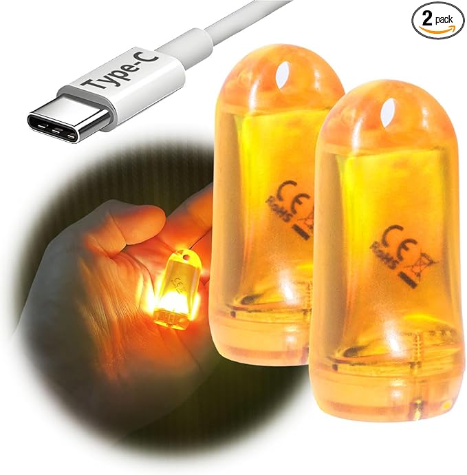 USB Mini LED Lantern, 2 Pack Waterproof EDC Keychain LED Flashlight for Camping, Type-C