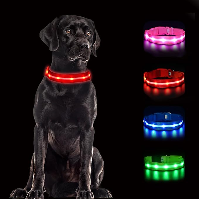 CHUKCHI LED Dog Collar Rechargeable,Waterproof Flashing Collar,Light Up Glow Collar, Adjustable