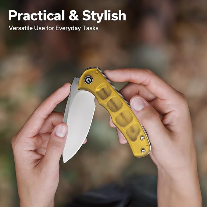 CIVIVI Mini Praxis Pocket Knife for EDC, Folding Pocket Knife with 2.98" D2 Blade Ultem Handle with