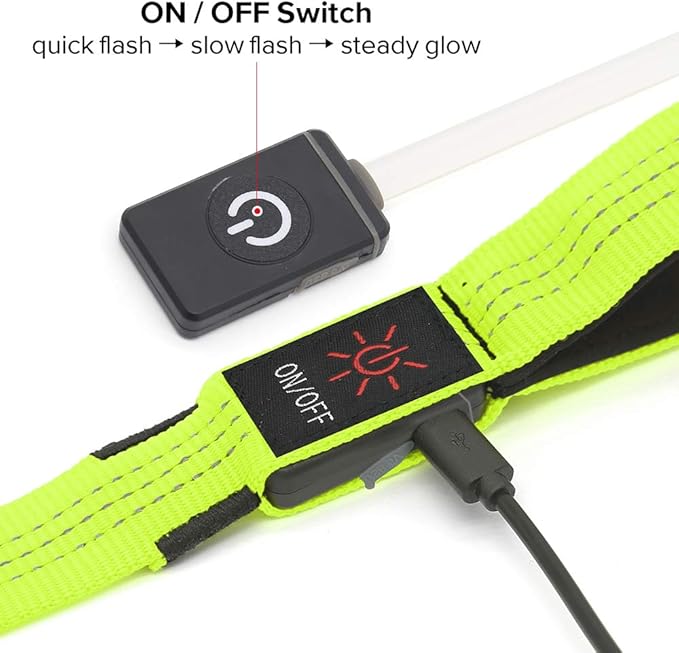 Candofly Glowing LED Dog Leash, Rechargeable Pet Leash with Lights, 4 Ft Light Up Dog Leash for