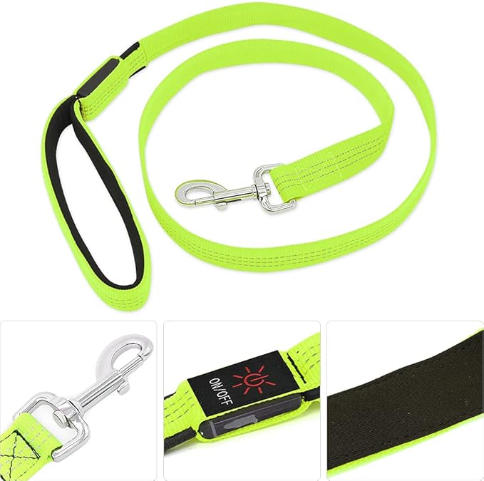 Candofly Glowing LED Dog Leash, Rechargeable Pet Leash with Lights, 4 Ft Light Up Dog Leash for