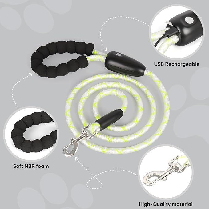 Colaseeme Light Up Dog Leash, LED Pet Leashes USB Rechargeable, Glow Safety Dogs Lights at Night