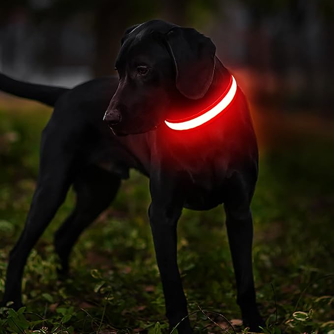 MASBRILL Light Up Dog Collars-LED Dog Collar Rechargeable Waterproof Lighted Dog Collar Night