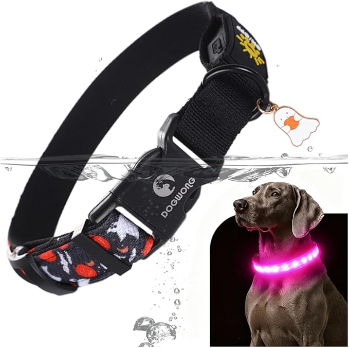 DOGWONG LED Dog Collar - Halloween Light up Dog Collars - Rechargeable Waterproof - Fall Lighted