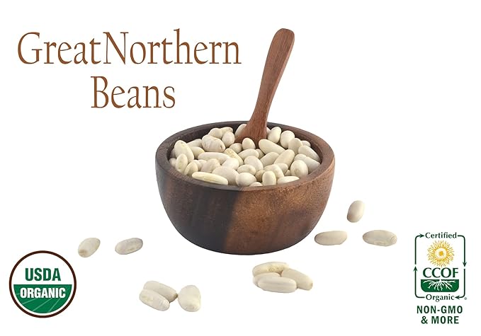 Organic Great Northern Beans,Raw, non GMO, Vegan, Bulk (9LB)