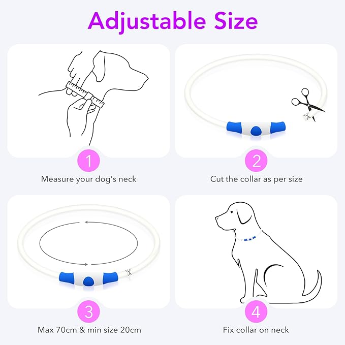 Colaseeme LED Dog Collar Light Up Dog Collars 1 Count USB Rechargeable TPU Glow Safety Basic Dog