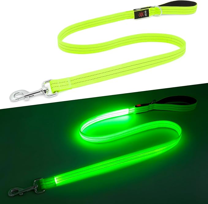 LED Dog Leash, 4 Ft Light Up Dog Leash USB Rechargeable Waterproof, Nylon Reflective Leashes with