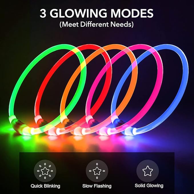 BSEEN Light Up Dog Collar - Rechargeable LED Dog Collar - 360° Glow in The Dark Pet Collar for