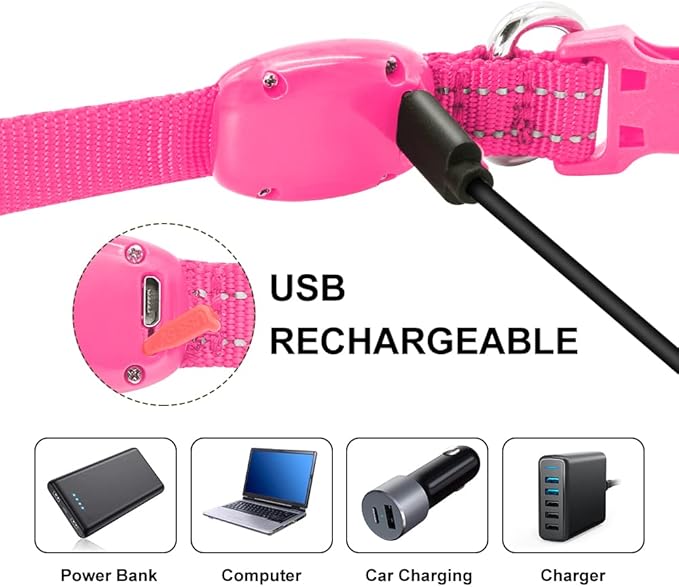 Light Up Dog Collar- Rechargeable Puppy Collars Glow in The Dark LED Dog Collar for Night Walking