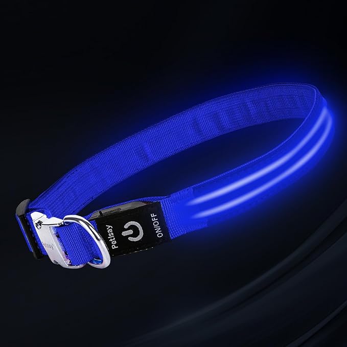 LED Dog Collar with Metal Buckle - USB Rechargeable Glow Collar for Dogs, Waterproof Light Up Dog