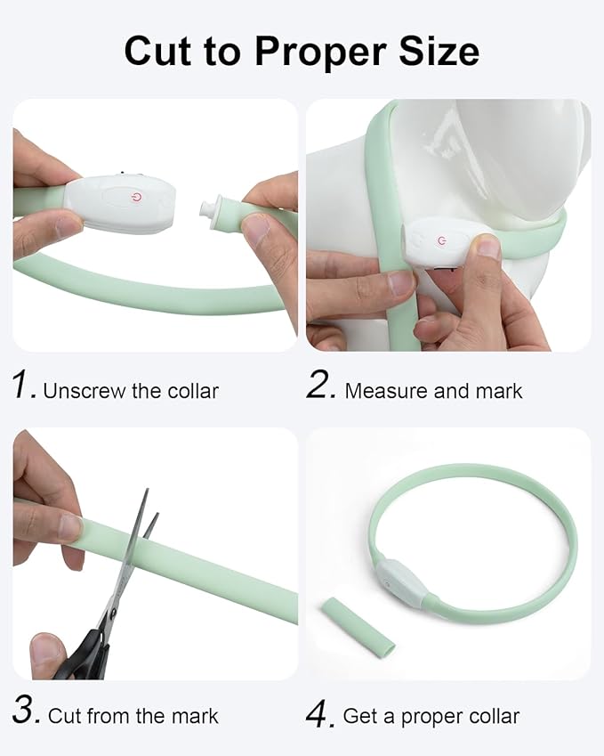 Joytale Light Up Dog Collar, Rainproof and Rechargeable LED, 9 Flashing Modes, Glow for Night