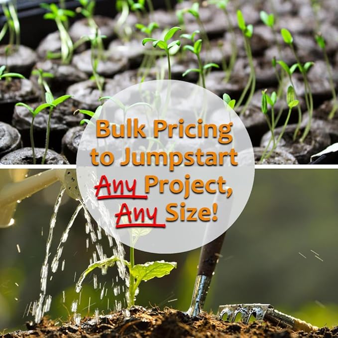 Mung Bean Sprouting Seed: 5 Lb - Organic, Non-GMO - Handy Pantry Brand - Dried Mung Beans for