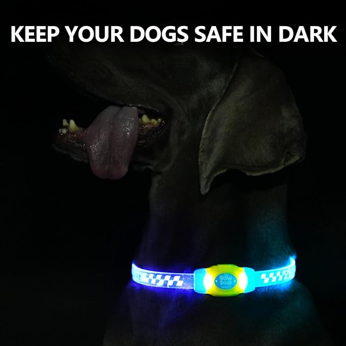 LaRoo LED Light Up Dog Collar, Type-C Rechargeable, Multi-Color Glowing Safety Pet Collar, Cuttable