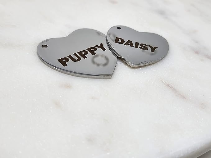 Dr. Fremont's Stainless Steel Pet ID Tags Engraved and Personalized for Dogs and Cats on Both Sides