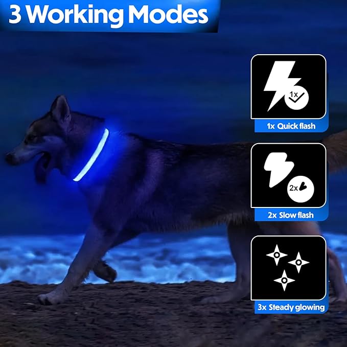 Light Up Dog Collar ??Reflective, Adjustable & Rechargeable Electronic Glow Pet Collars ??Bright