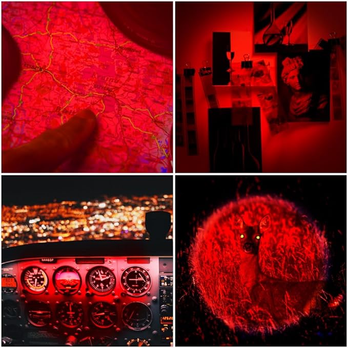 4 Pack Red LED Flashlight Single Mode Red Light Flashlight One Mode Zoomable Night Light Torch for