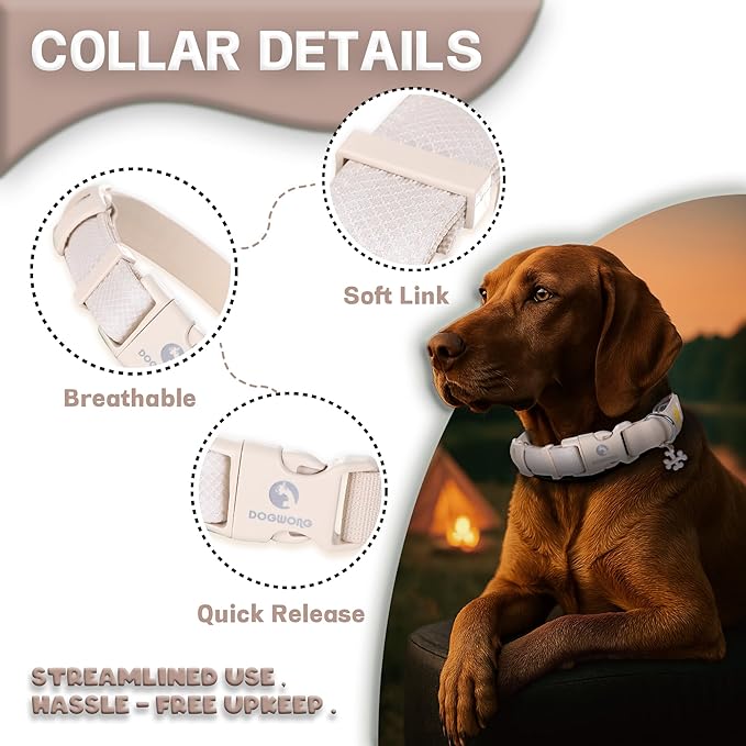 DOGWONG LED Dog Collar - Heavy Duty Light up Collars - Rechargeable Waterproof - Lighted Dog Collar
