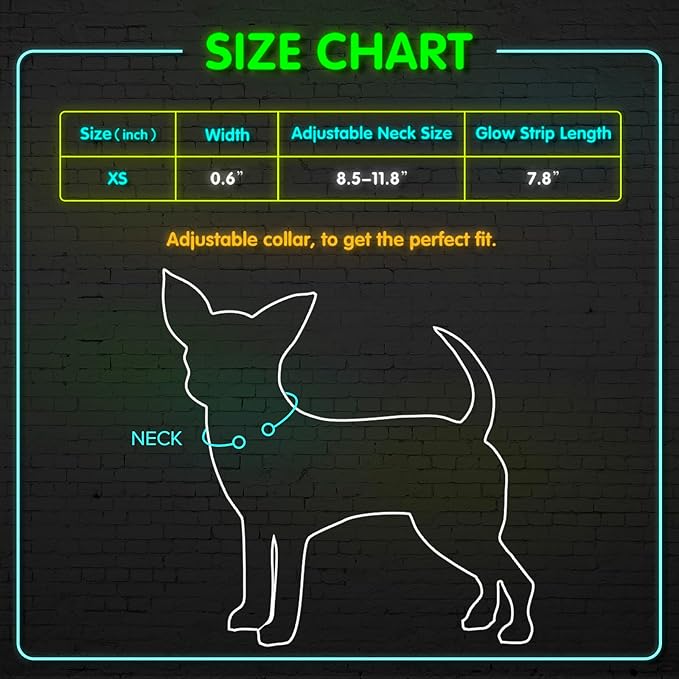 BSEEN Light Up Dog Collar, Reflective LED Dog Collar Rechargeable Glowing Puppy Collars for Small