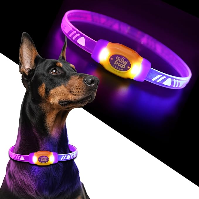 LaRoo LED Light Up Dog Collar, Multi-Color Glowing Safety Pet Collar, USB Rechargeable, Adjustable