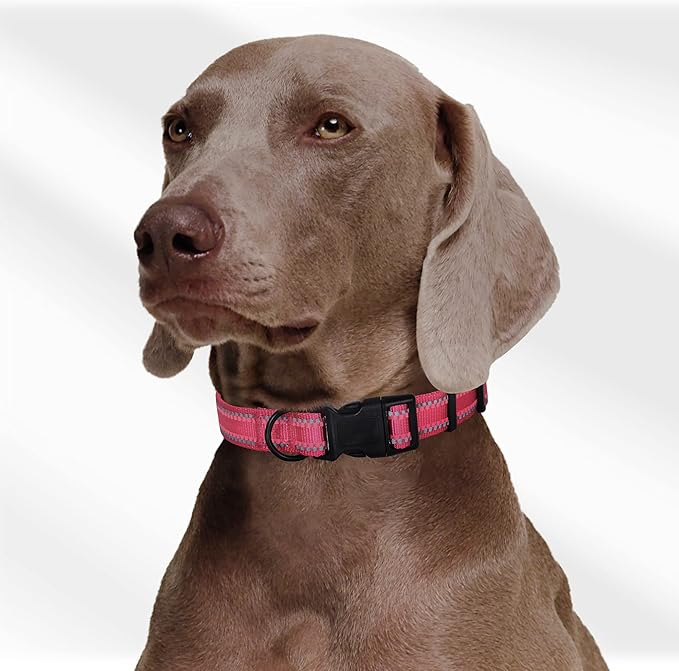 Mile High Life Reflective Dog Collar, Basic Dog Collars Adjustable Quick Release, Soft Nylon Pet
