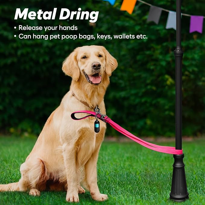 4 Ft Led Dog Leash, Rechargeable Light Up Dog Leash Waterproof, Safety Glow in The Dark Dog Leash