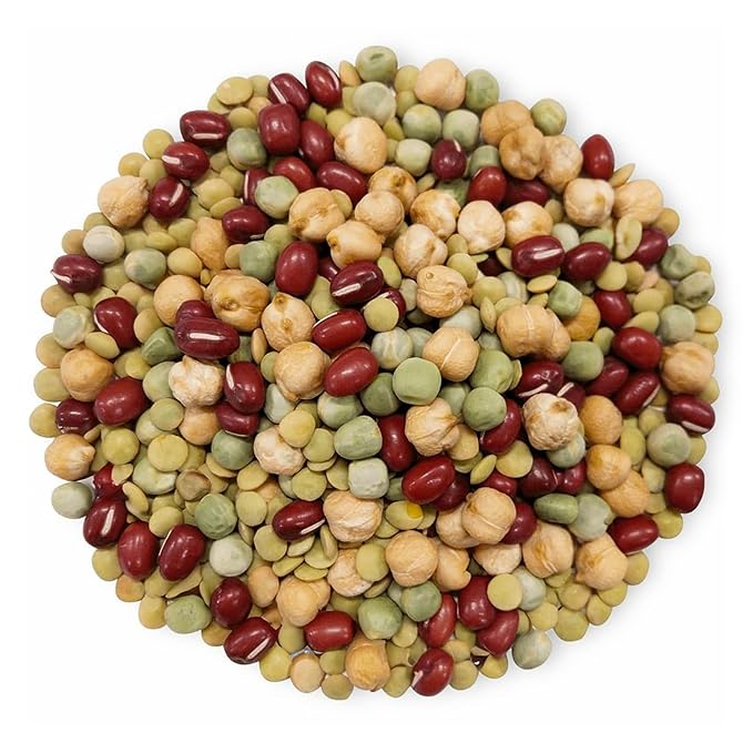 Food to Live Organic Crunchy Mix of Sprouting Beans, 20 Pounds - Non-GMO, Kosher, Non-Irradiated