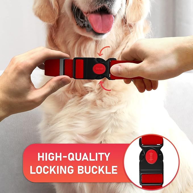 Adjustable Dog Collar with QR Code Dog Tag ID Attached - Made in USA - Honeycomb Waterproof Heavy