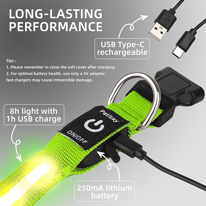 Super Bright LED Dog Collar - Fully Waterproof & Adjustable Glow Collar - USB-C Rechargeable for