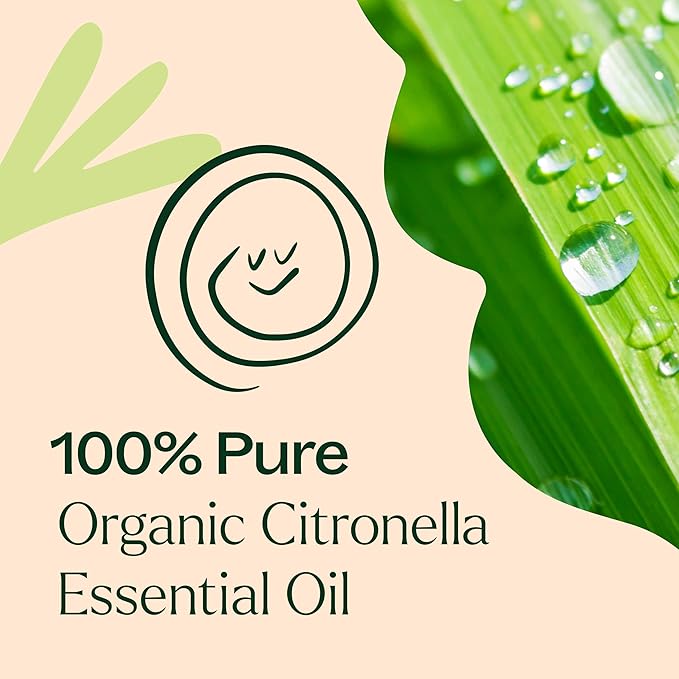 Plant Therapy Citronella Organic Essential Oil 100% Pure, USDA Certified Organic, Undiluted