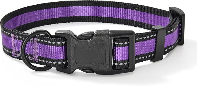 Mile High Life Dog Collar | Nylon Reflective Dog Collars | Light Weight Puppy Collars | Purple Dog