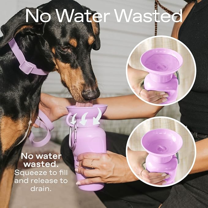 Springer Dog Water Bottle | Portable Travel Water Bottle Dispenser for Dogs | Dog Gift Seen on