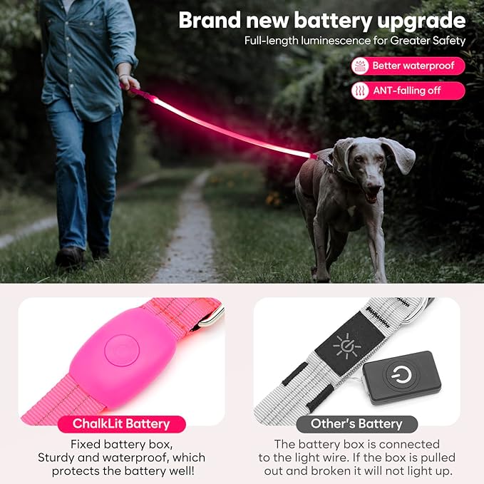 LED Dog Leash, Light Up Dog Leash 4 Ft USB Rechargeable Waterproof, Nylon Reflective Leashes with