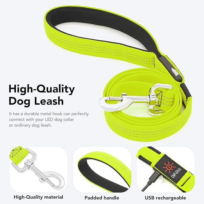 Colaseeme Light Up Dog Leash, LED Pet Leashes USB Rechargeable, Glow Safety Dogs Lights at Night