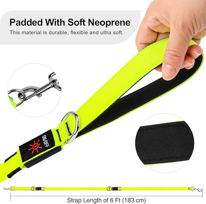 Colaseeme Light Up Dog Leash, LED Pet Leashes USB Rechargeable, Glow Safety Dogs Lights at Night