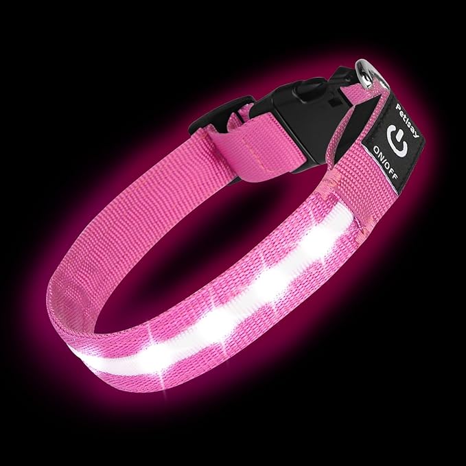 Super Bright LED Dog Collar - Fully Waterproof & Adjustable Glow Collar - USB-C Rechargeable for