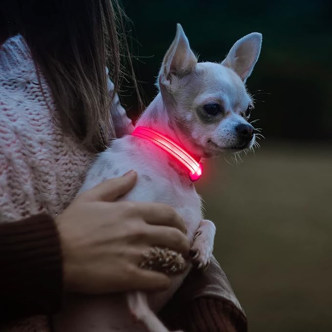 Visinite Light Up Dog Collars for Small Dogs,LED Dog Collar Light Rechargeable,Fully Adjustable