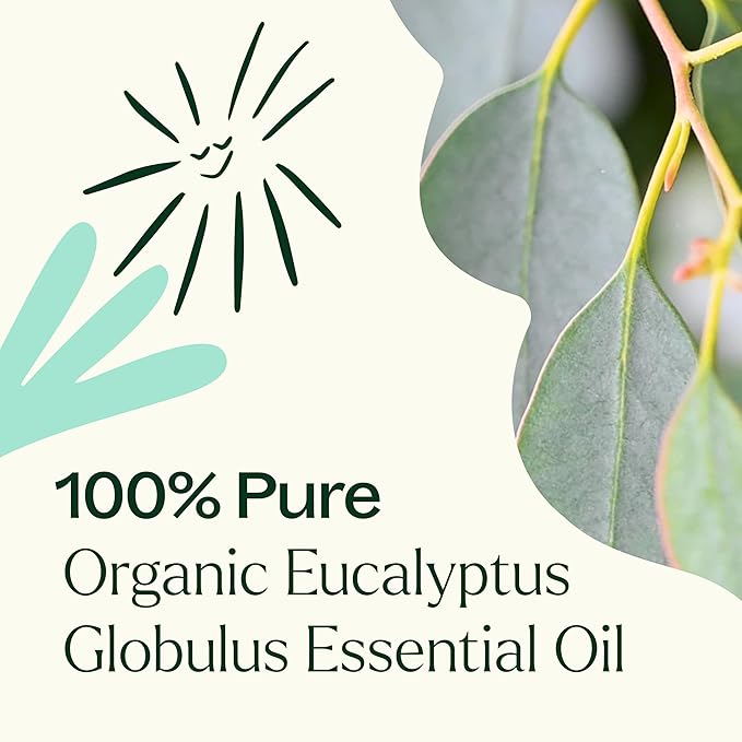 Plant Therapy Organic Eucalyptus Globulus Essential Oil 100% Pure, USDA Certified Organic