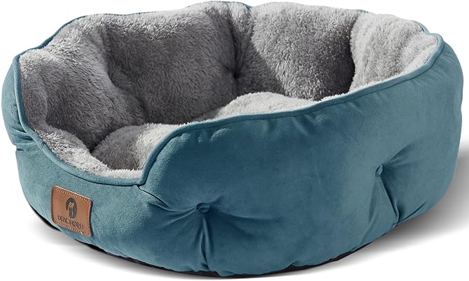 Asvin Small Dog Bed for Small Dogs, Cat Beds for Indoor Cats, Pet Bed for Puppy and Kitty, Extra