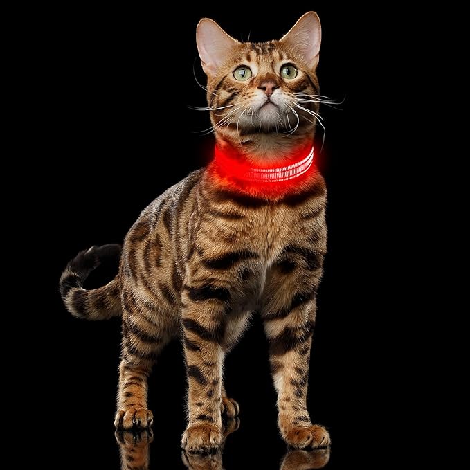 Illumifun Light Up Collar for Small Dogs, USB Rechargeable LED Dog Collar Glow in The Dark