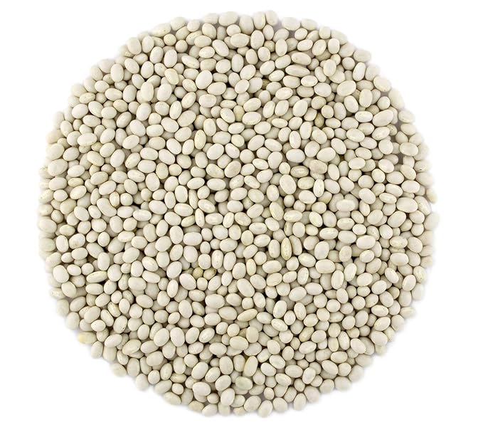 Organic Navy Beans Raw non GMO Vegan Bulk - 9LB
