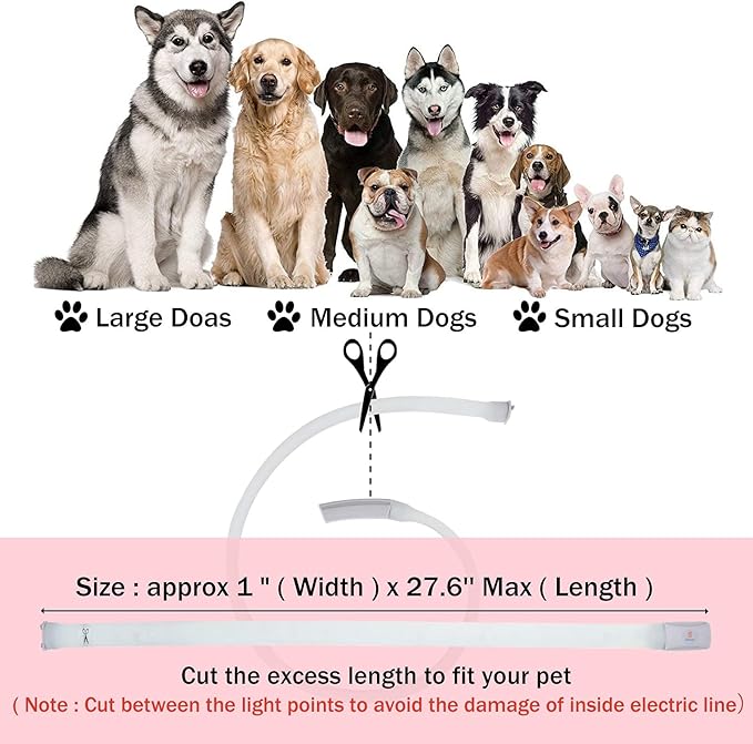 Led Dog Collar Rechargeable USB-C, Super Bright Multi-Color Light Up Collar, Weatherproof Lighted