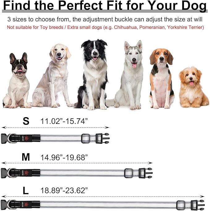 Light Up Dog Collar, Multicolor LED Dog Collar with 7 Modes, USB-C Rechargeable Reflective Glow