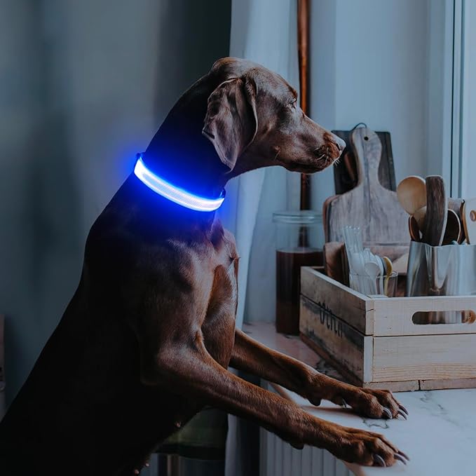 Illumifun LED Dog Collar, USB Rechargeable Light Up Dog Collar, Adjustable Pet Safety Light Glow in