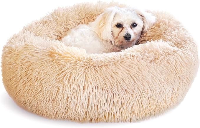 Whiskers & Friends Cat Bed Dog, Cat Beds for Indoor Cats Washable, Orthopedic Soft Fluffy Round