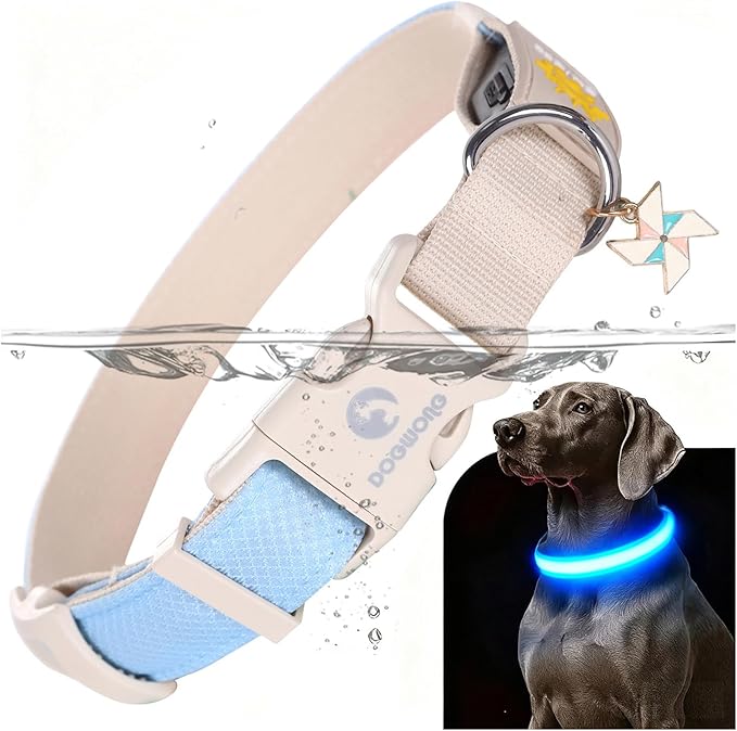 DOGWONG LED Dog Collar - Heavy Duty Light up Collars - Rechargeable Waterproof - Lighted Dog Collar