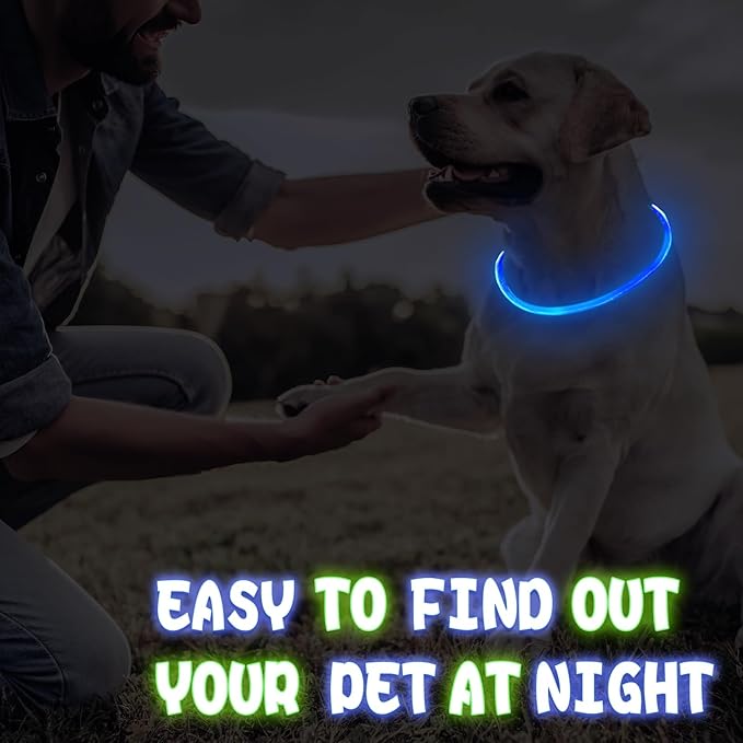 Frienda 4 Pcs Dog Collar LED USB Rechargeable Lights Dog Necklace Collars Doggy Lights for Night