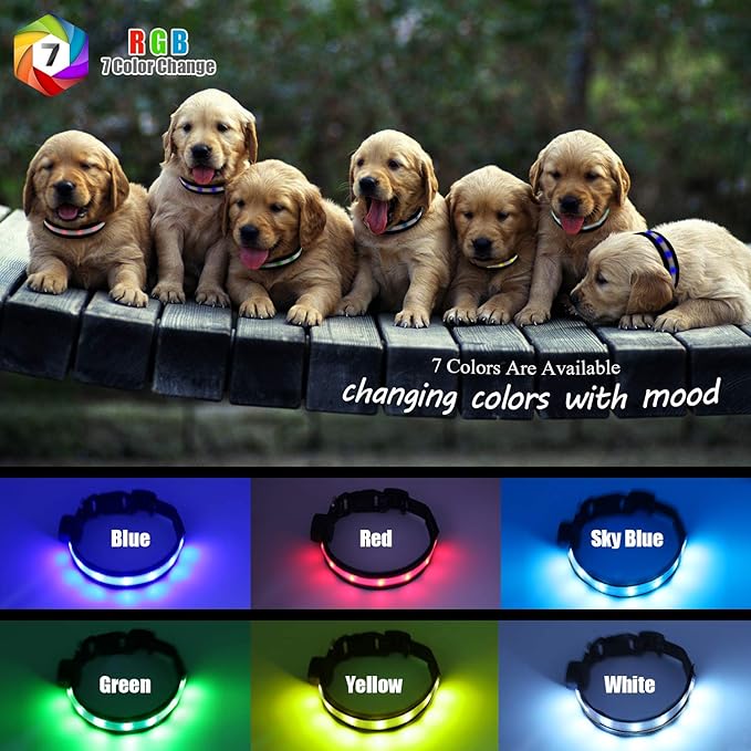 Light Up Dog Collars, Safety LED Dog Collar Rechargeable 7 Colors in One Lighted Dog Collar Glow in